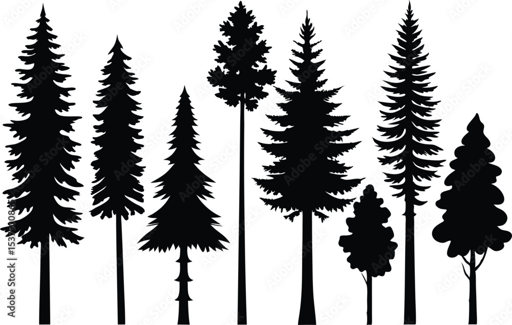 Fototapeta premium Collection of silhouettes of evergreen trees in a forest