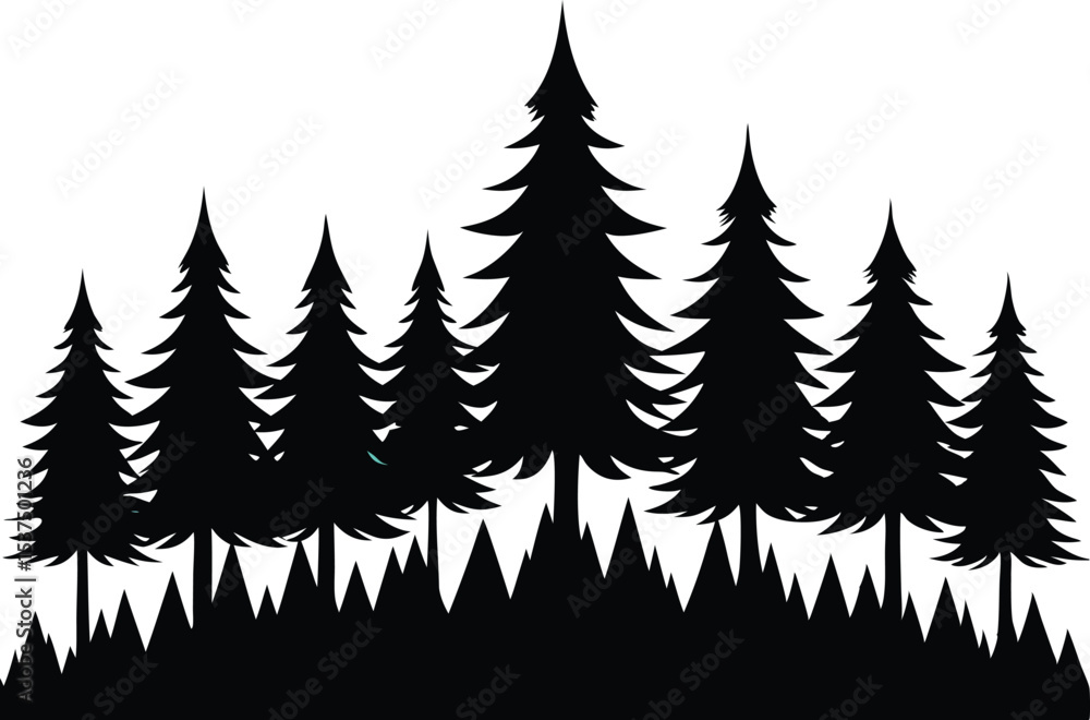 Obraz premium Majestic silhouette of evergreen trees in a forest