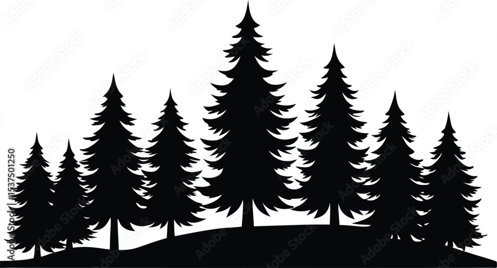 Fototapeta premium Silhouetted evergreen trees winter forest landscape