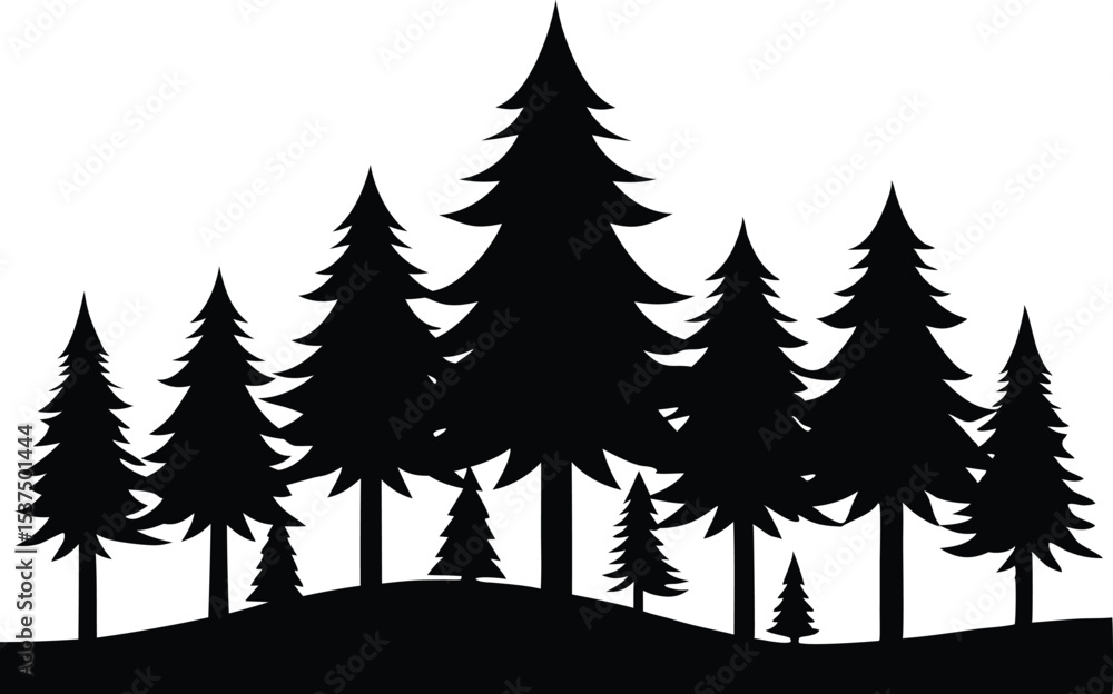 Fototapeta premium Silhouetted evergreen trees winter forest landscape