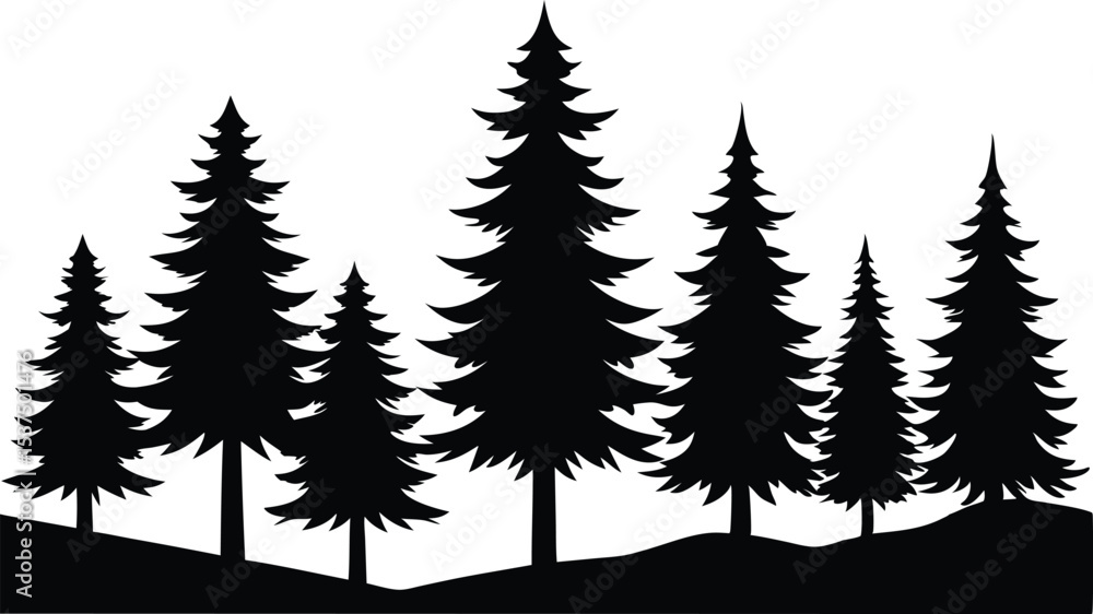 Obraz premium Silhouetted evergreen trees winter forest landscape