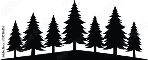Silhouetted evergreen trees on a hilltop