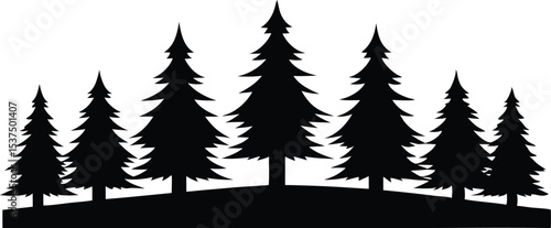 Silhouetted evergreen trees on a hilltop