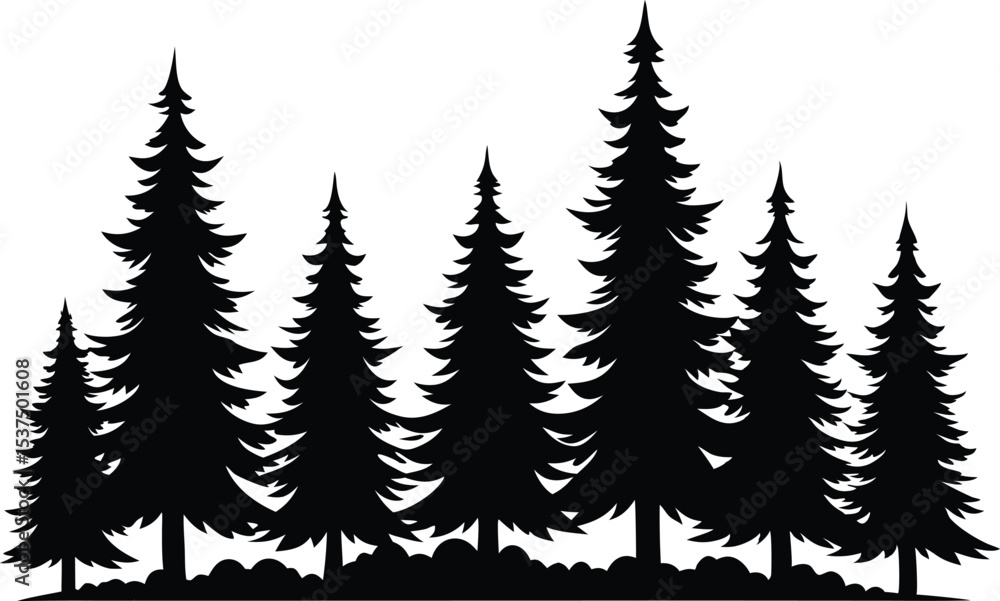 Obraz premium Silhouetted evergreen trees winter forest landscape