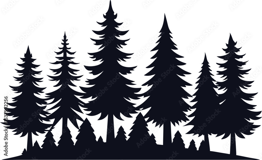 Obraz premium Majestic silhouette of evergreen trees in a forest