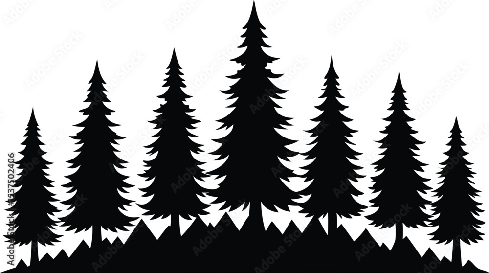 Fototapeta premium Silhouetted evergreen trees winter forest landscape