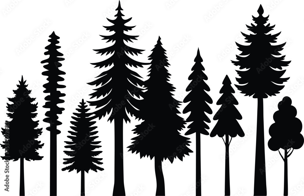 Obraz premium Silhouettes of various evergreen trees in a forest