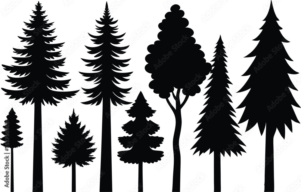 Obraz premium Silhouettes of various evergreen and deciduous trees
