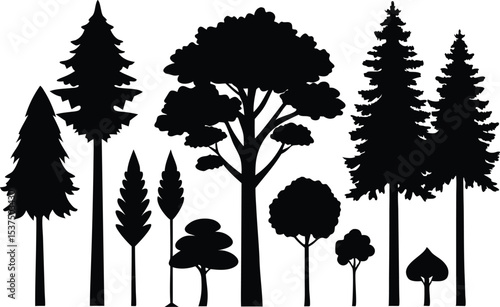 Silhouette collection of various trees and conifers