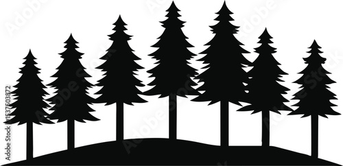 Silhouetted evergreen trees on a hilltop