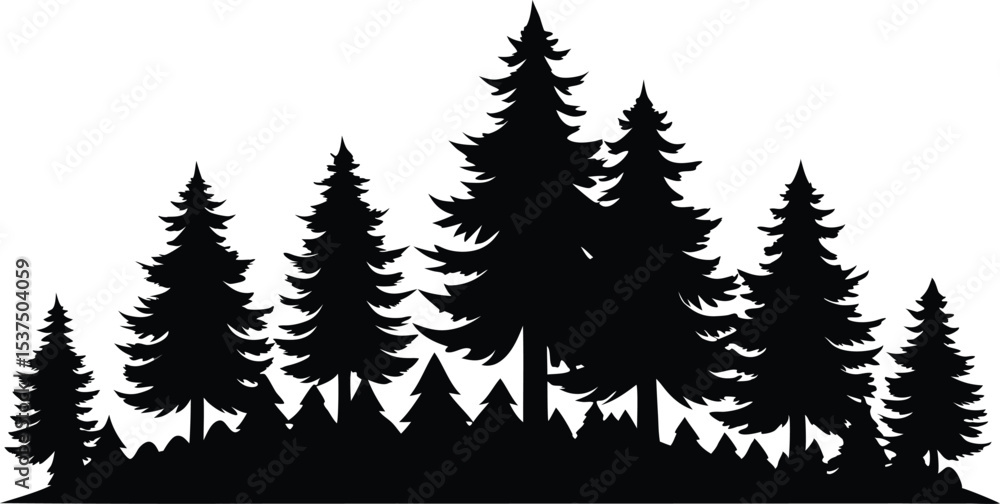 Obraz premium Majestic silhouette of evergreen trees in a forest