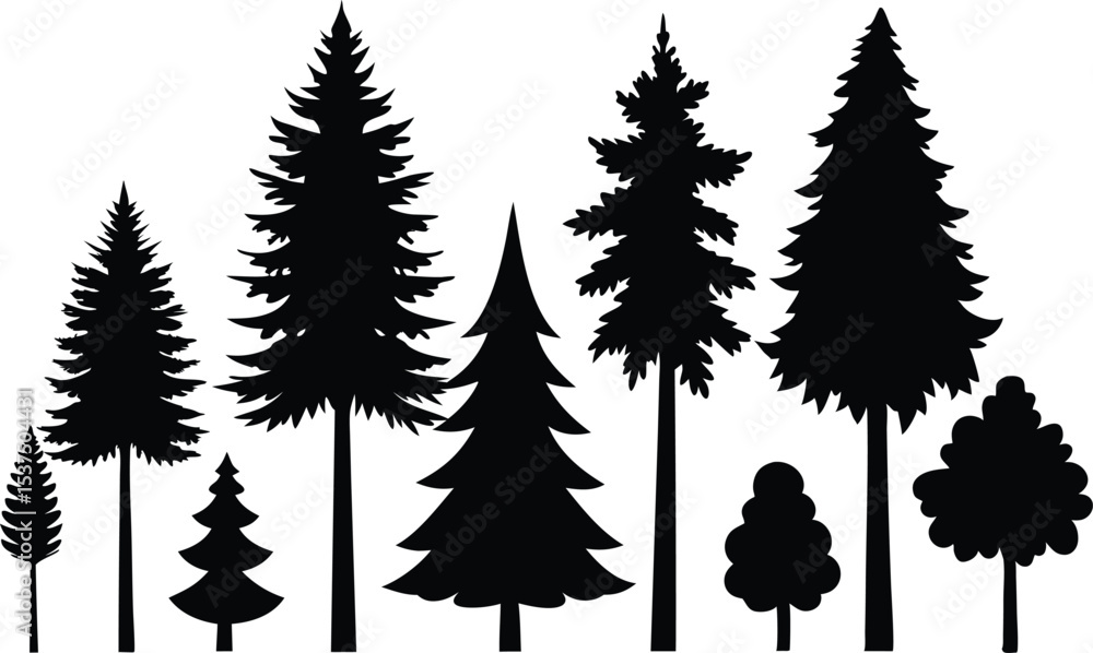 Fototapeta premium Silhouettes of various evergreen trees and shrubs