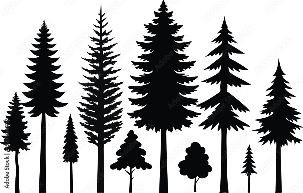 Obraz premium Silhouettes of various evergreen trees and conifers in a forest