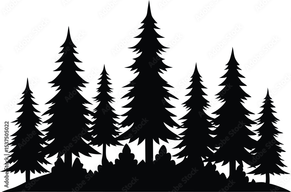 Obraz premium Silhouetted evergreen trees forest winter landscape