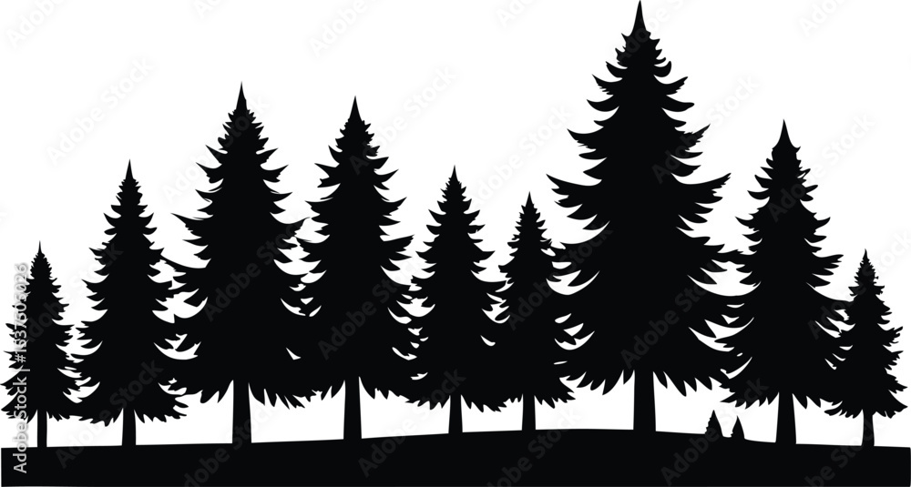 Obraz premium Silhouetted evergreen trees winter forest landscape