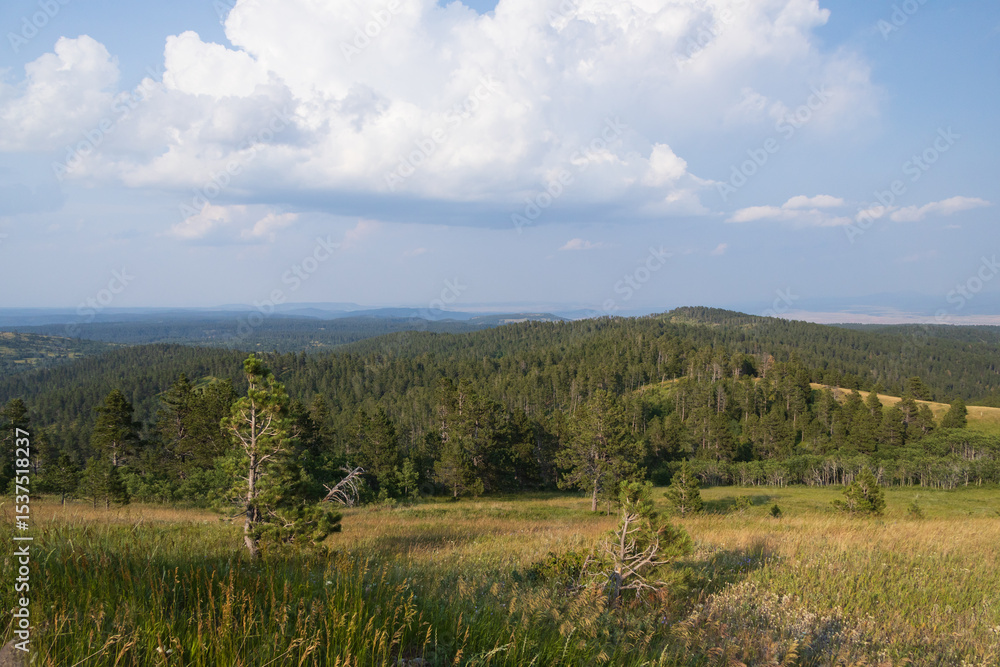 Fototapeta premium View from Warren Peak Fire Tower, Wyoming