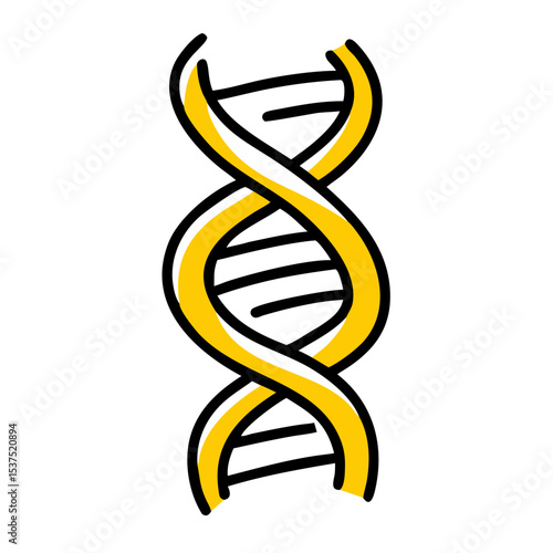 Hand Draw dna strand for Web and Graphic design