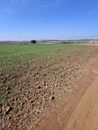bicycle ride on a plowed field in the morning