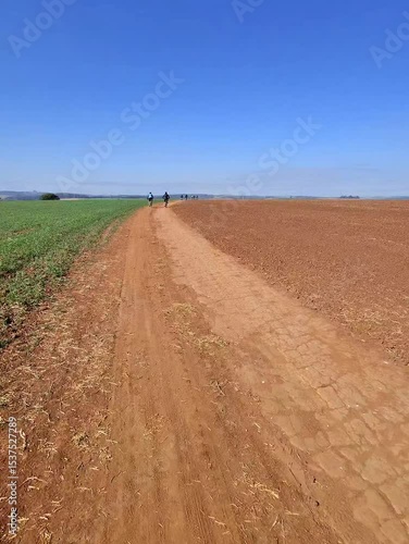 bicycle ride on a dirt road in the field