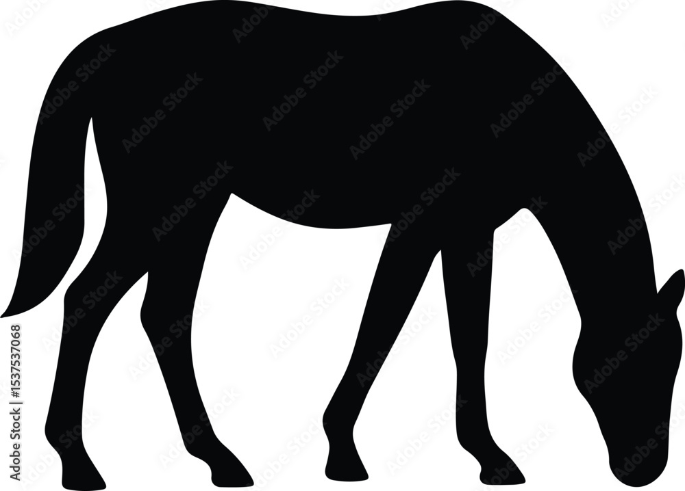 Fototapeta premium Silhouette horse grazes animal black equine vector illustration