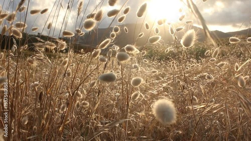 sunset colors near Morouzos beach in Ortigueira, Spain