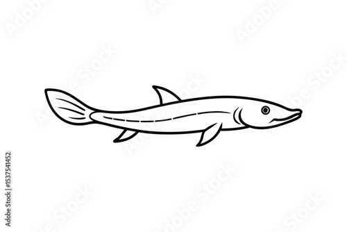Sturgeon fish gliding gracefully along ancient riverbeds Line Art Vector illustration