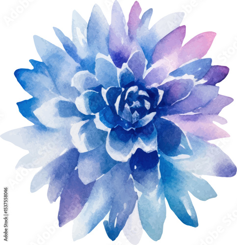 Watercolor painted dahlia flower. Hand drawn design element isolated on white background.