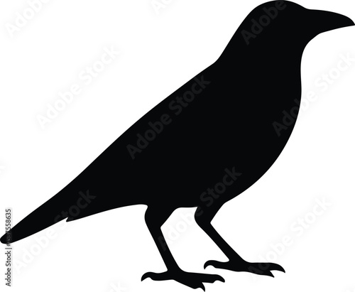 Silhouette raven standing profile flat design vector illustration
