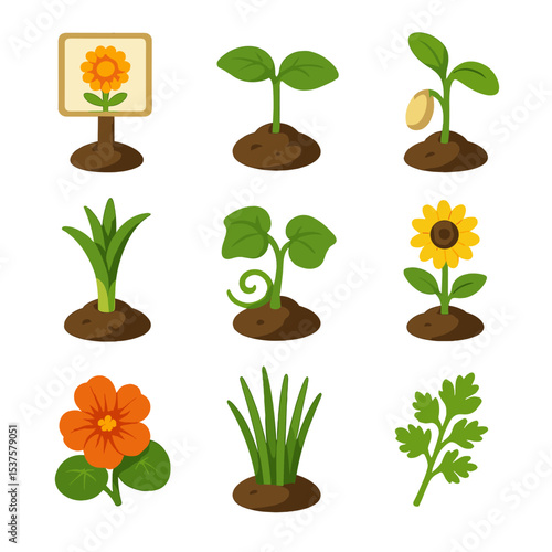 Companion Planting Icons. Isometric Flat icon set of companion planting: marigold marker, basil sprout, bean seedling, corn shoot,