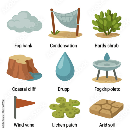 Desert Fog Icons. Isometric Flat icon set of fog desert lomas: fog bank, condensation net, hardy shrub, coastal cliff, moisture