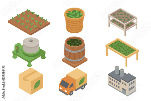 Tea Production Icons. Isometric Flat icon set of Tea Farming and Production: tea plantation, picker basket, drying rack, rolling