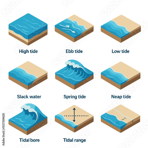 Tide Cycle Icons. Isometric Flat icon set of tide cycle phases: high tide, ebb tide, low tide, flood tide, slack water, spring