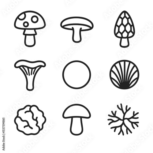 Forest Mushroom Icons. Outline icon set of forest mushrooms: toadstool cap, shelf fungus, morel shape, chanterelle outline,