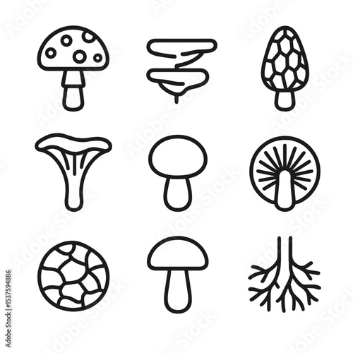 Forest Mushroom Icons. Outline icon set of forest mushrooms: toadstool cap, shelf fungus, morel shape, chanterelle outline,