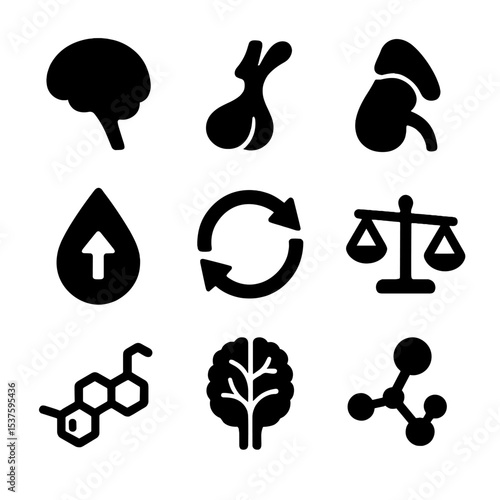 HPA Axis Icon Grid. Solid, Filled icon set of HPA axis dysregulation: hypothalamus icon, pituitary gland, adrenal gland, hormone