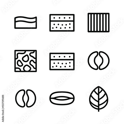 Leaf Anatomy Icons. Outline icon set of leaf anatomy: cuticle layer, upper epidermis, palisade mesophyll, spongy mesophyll, lower