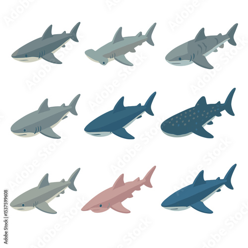 Shark Species Icons. Isometric Flat icon set of shark species: great white shark, hammerhead shark, tiger shark, bull shark, mako