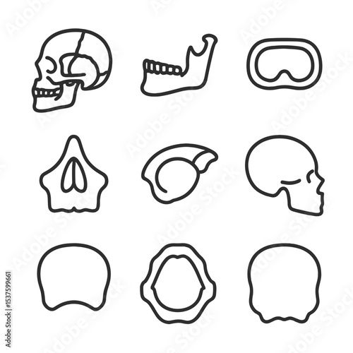 Skull Anatomy Icons. Outline icon set of skull anatomy parts: cranium, mandible, eye socket, nasal cavity, zygomatic arch,
