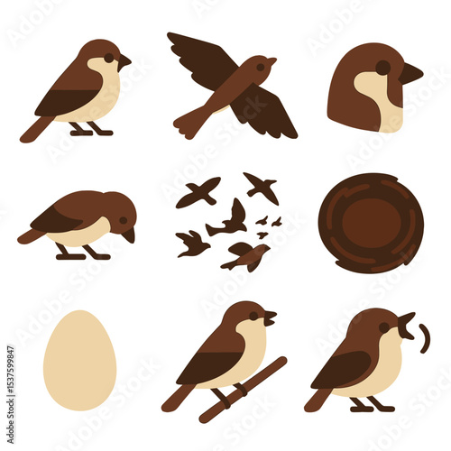 Sparrow Icon Set. Isometric Flat icon set of sparrow silhouettes: perched side view, flying overhead, head profile, feeding crouch