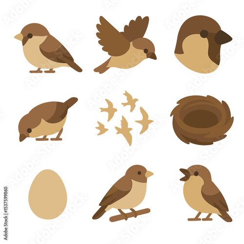 Sparrow Icon Set. Isometric Flat icon set of sparrow silhouettes: perched side view, flying overhead, head profile, feeding crouch