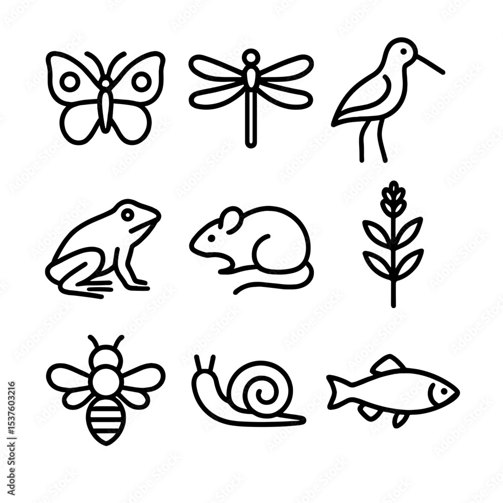 Obraz premium Lowland Biodiversity Icons. Outline icon set of lowland biodiversity: butterfly, dragonfly, marsh bird, amphibian, small mammal,