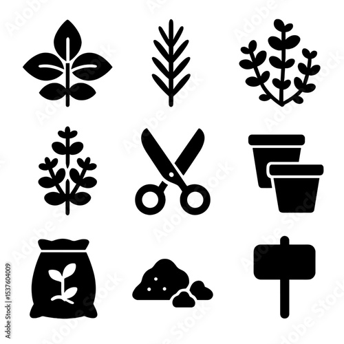 Terrace Herb Icon Set. Solid, filled icons set of terrace herb cultivation: basil, rosemary, thyme, oregano,