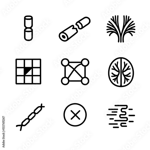 White Matter Icon Set. Outline icon set of white matter integrity loss: myelin sheath, broken sheath, white tract bundle,