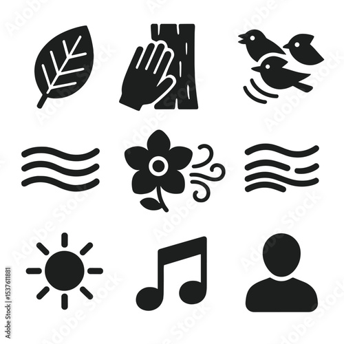 Nature Sensory Icons. Solid, filled icons set of sensory immersion in nature: leaf texture, bark touch,