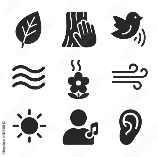Nature Sensory Icons. Solid, filled icons set of sensory immersion in nature: leaf texture, bark touch,