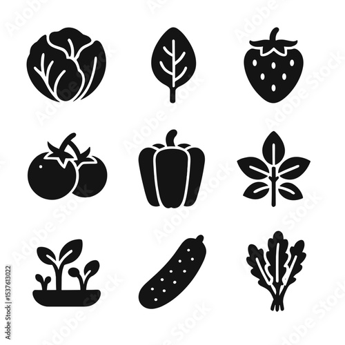 Hydroponic Crop Icons. Solid, filled icons set of common hydroponic crops: lettuce head, spinach leaf,