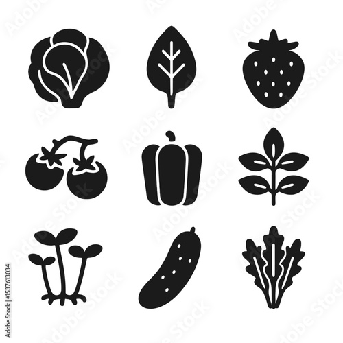 Hydroponic Crop Icons. Solid, filled icons set of common hydroponic crops: lettuce head, spinach leaf,
