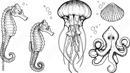 Vector set with Sea Animals. Hand drawn sketch of Seahorse, Jellyfish and Octopus. Illustration with underwater sealife painted by black inks in line art style. Engraving of medusa for icon or logo.