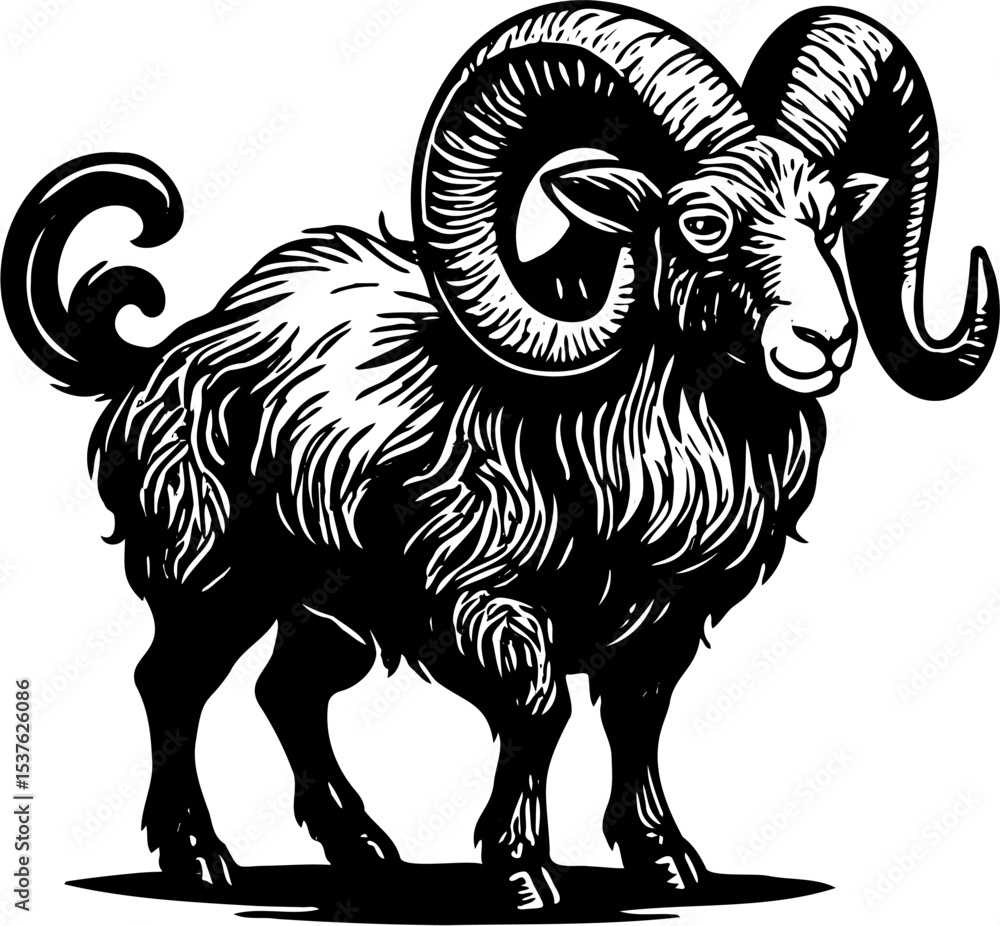 Fototapeta premium sheep silhouette vector illustration, isolated on white