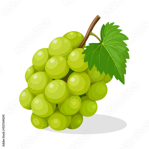 Illustration of muscat grapes with leaves, isolated white background.bunch of grapes